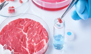 Лабораторный анализ пищевых продуктов по СанПиН в Шахтах в октябре