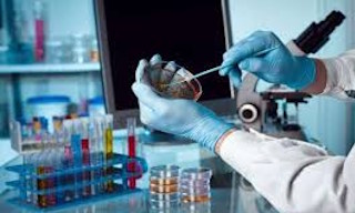 Лабораторный анализ воды из колодца в Шахтах в октябре