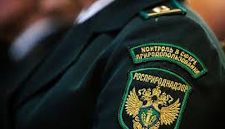 Подготовка к проверке Росприроднадзора в Шахтах от ПромМир, стоимость услуги от 21706 руб.